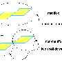 topomodelnonmanifold.gif